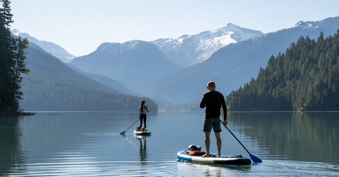 Neuro Emotional Technique (NET)
